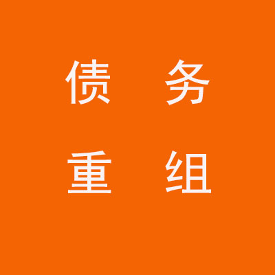 小板镇个人债务重组优化
